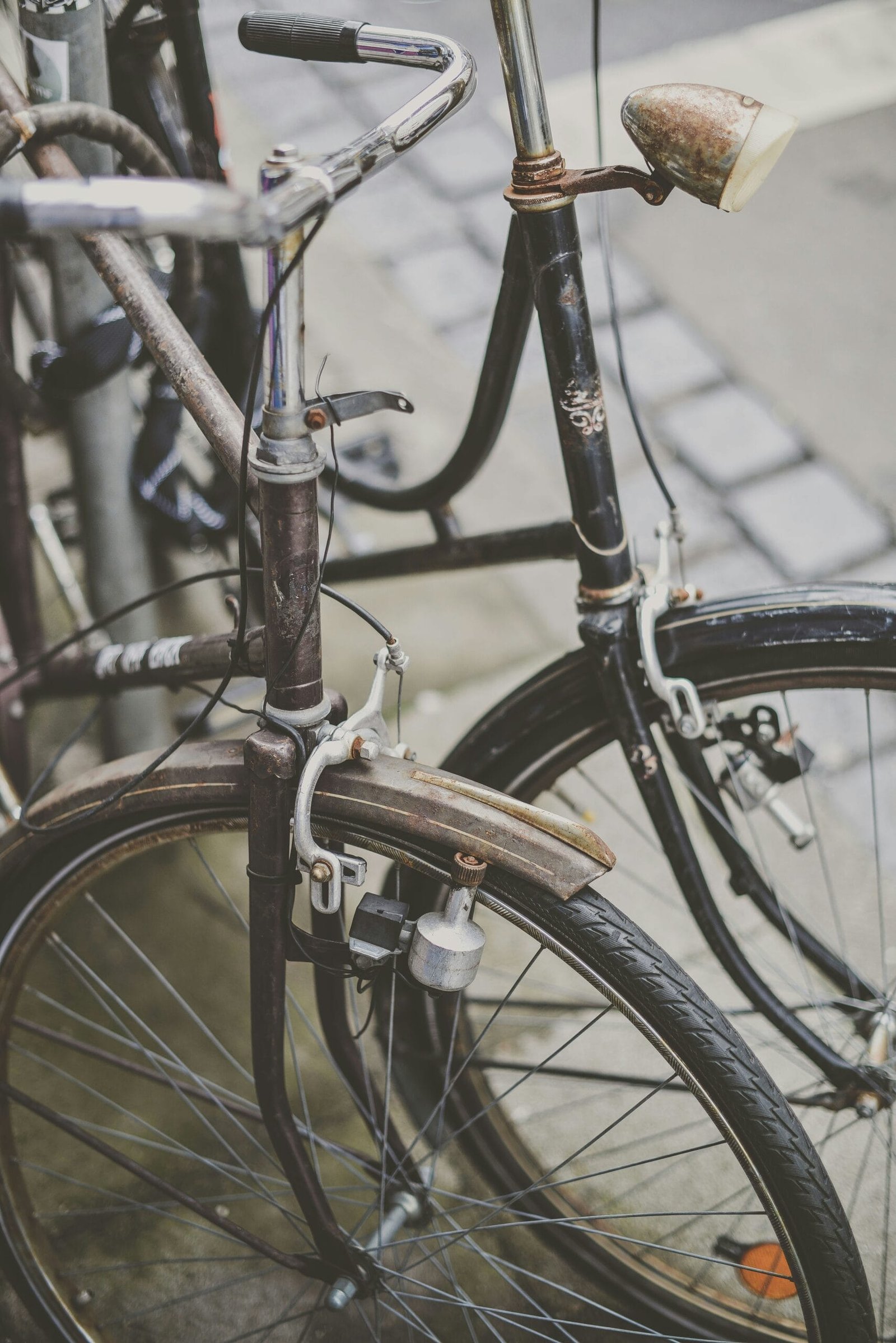 Are There Any Restrictions On Using Electric Bikes In National Forests And Protected Areas? Are There Any Restrictions On Using Electric Bikes In National Forests And Protected Areas?
