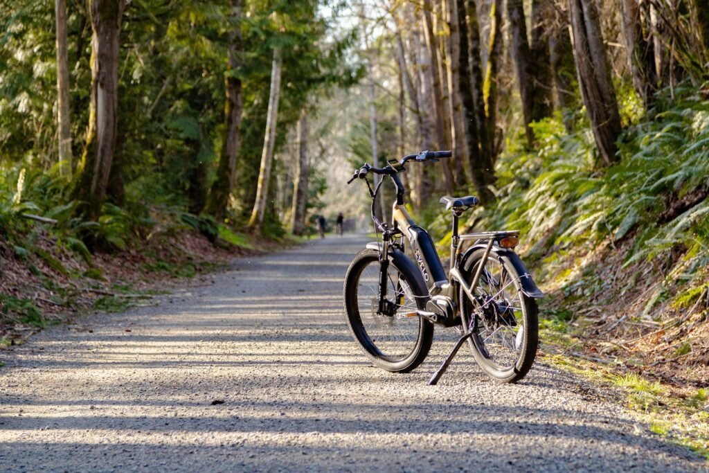 Review of Ride1Up Portola as a budget E-bike option